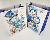 Geschenktasche 23x18x10cm